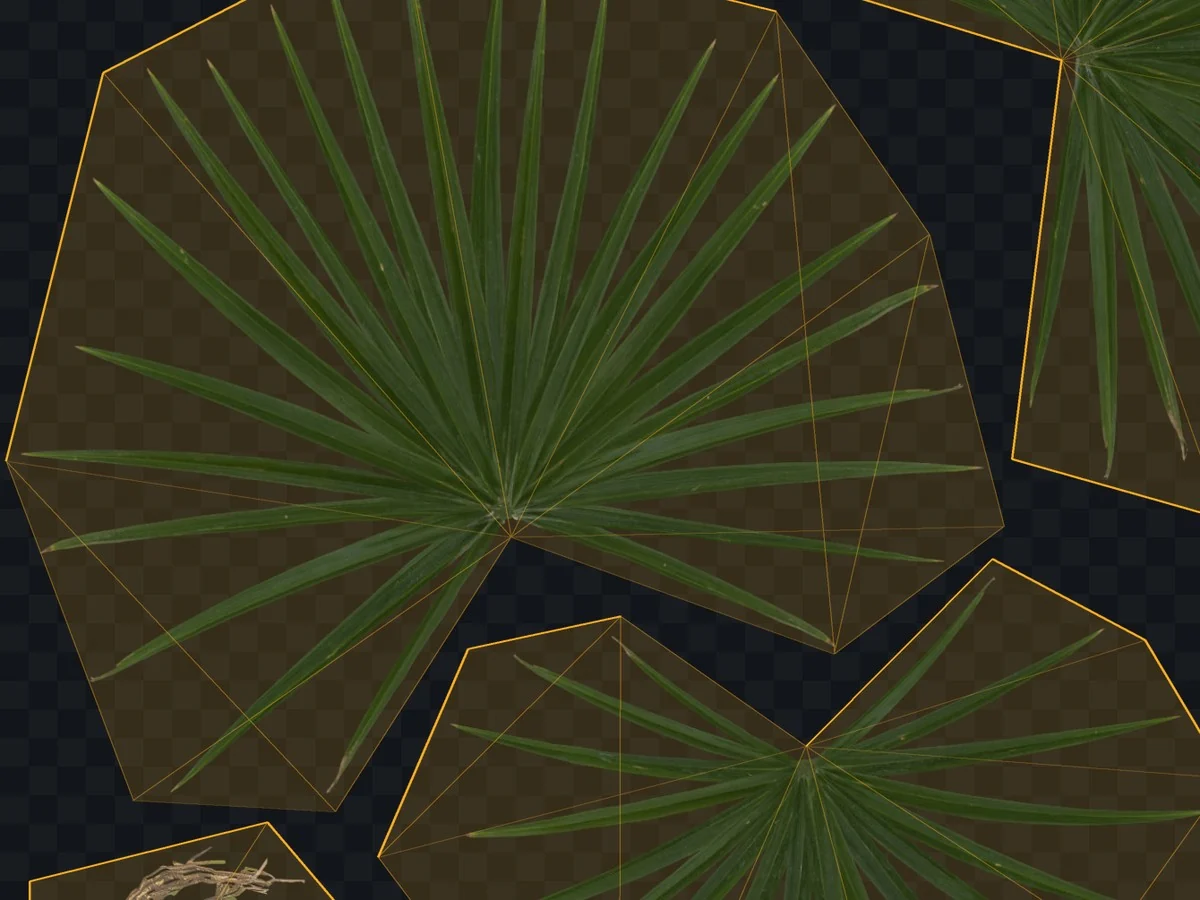 The original palm cards: large polygons around each frond, most of their area transparent